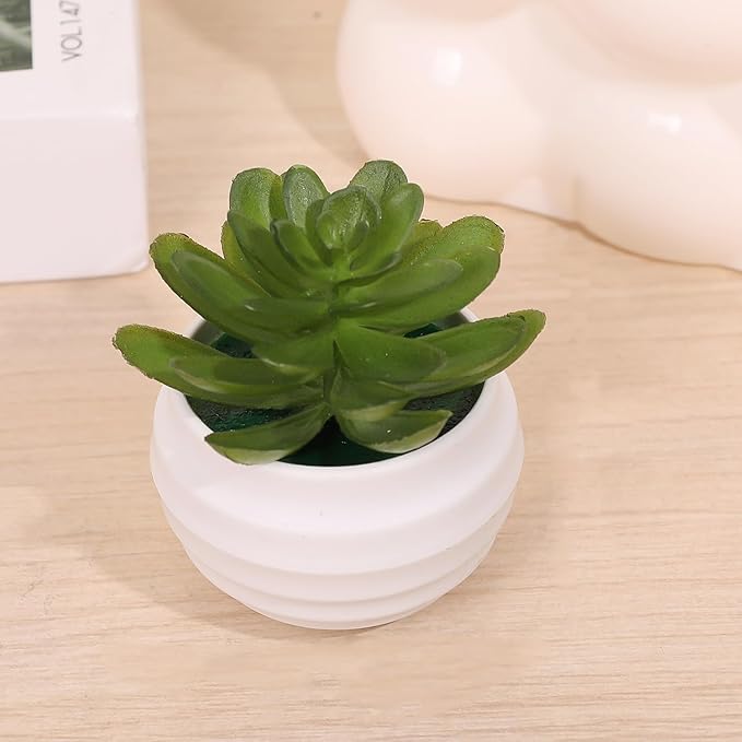 Small Artificial Succulent Plants