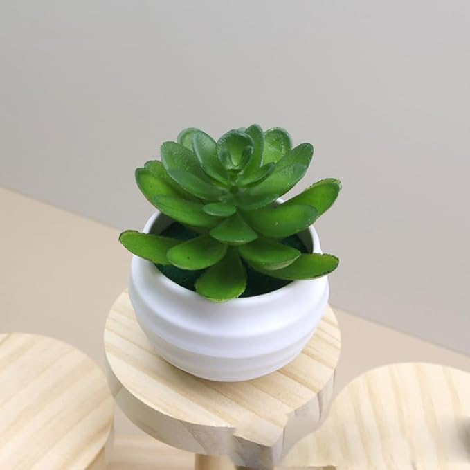 Small Artificial Succulent Plants